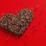 Illustration avec un coeur du 4ème baromètre de la générosité